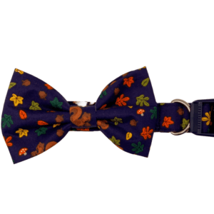 autumn squirrels adjustable dog collar bowtie