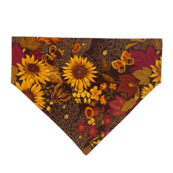 autumn sunflowers over the collar bandana