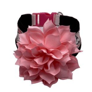 paris in spring custom collar