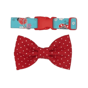 polka dot ladybug dog collar