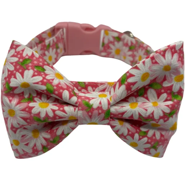 Pink dog collar with daisy-patterned bow tie.
